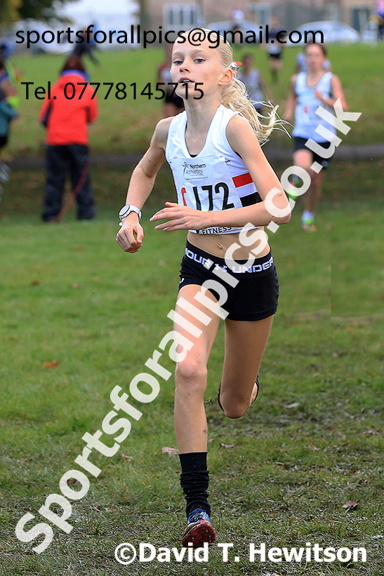 Girls under-13s, 2024 Northern Cross Country Relays, Graves Park, Sheffield.   Photo: David T. Hewitson/Sports for All Pics